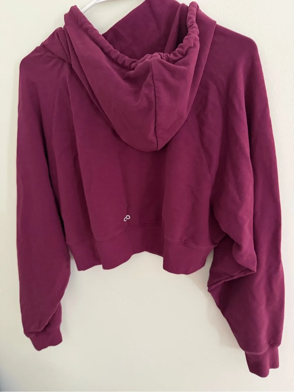 Alo Women's 2 Pieces Burgundy Cropped Hoodie and Pant Set